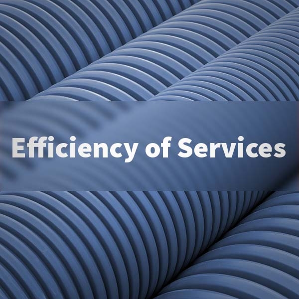 Efficiency of Services